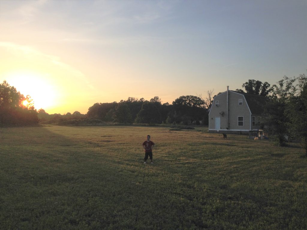 homestead