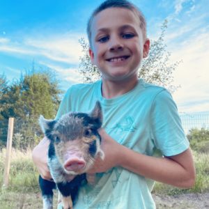 Piglet 02