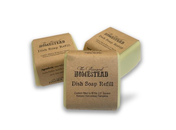 Dish-Soap-Refill