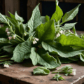 Comfrey Salve - Image 4