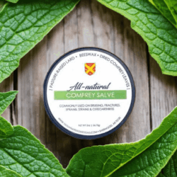 comfrey-salve comfrey-salve